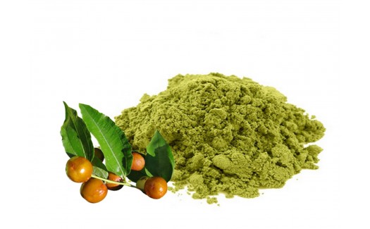 Sidr powder (Zizyphus jujuba) Pure and Natural Organic 250g